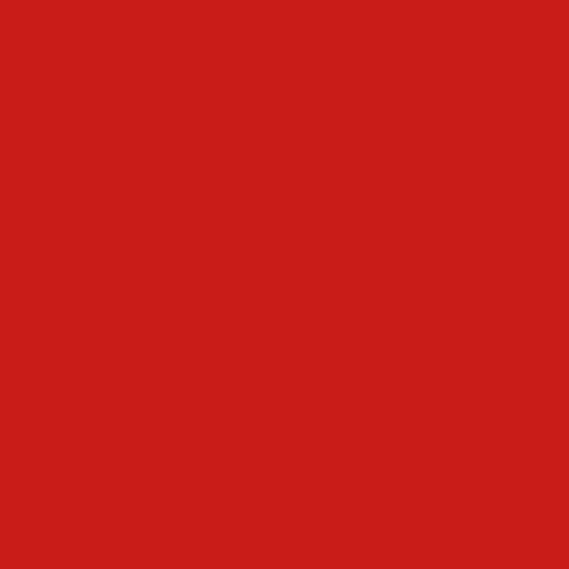 60INX25YD LIGHT RED - 032 ORACAL 970RA PREMIUM WRAP