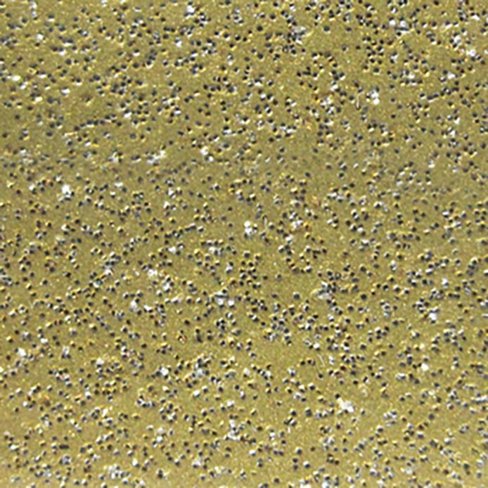 15in x 30yd GLITTER GOLD - 439 POLI-FLEX IMAGE