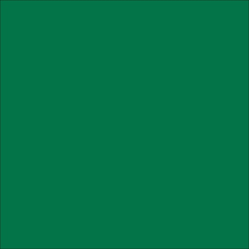 [751/061-24] 24INX50YD GREEN - 061 ORACAL 751 PERFORMANCE CAST